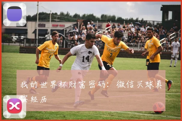 我的世界杯财富密码：微信买球真实经历