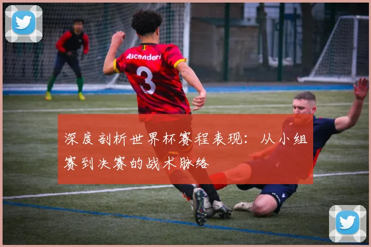 深度剖析世界杯赛程表现：从小组赛到决赛的战术脉络